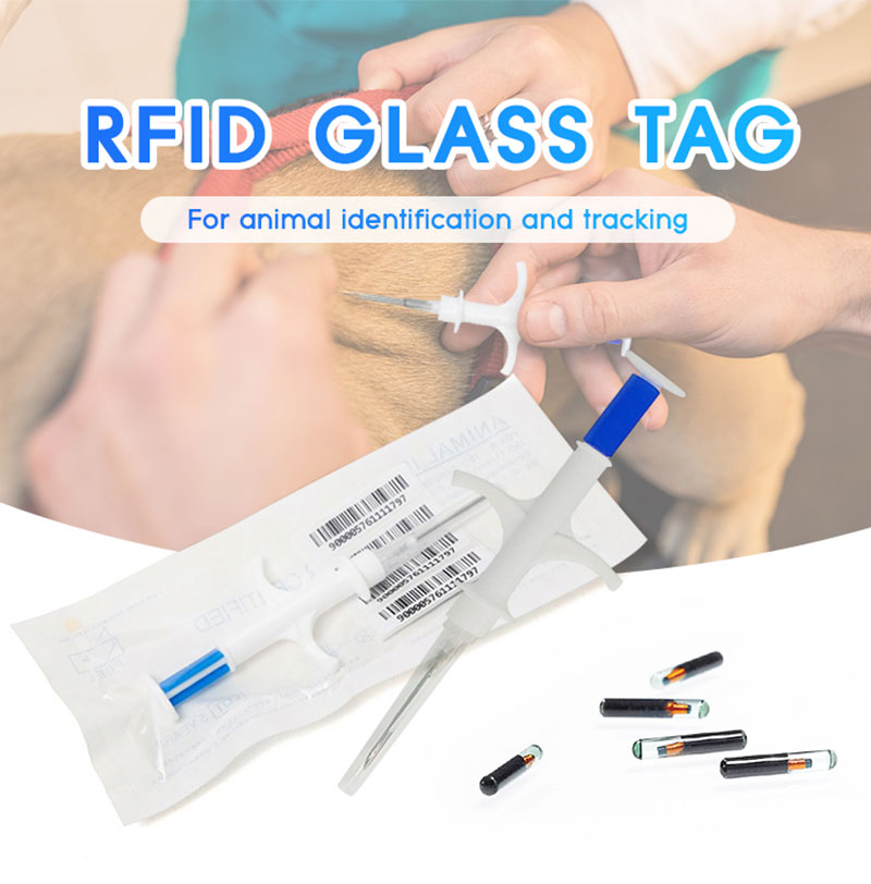 Etiqueta bioelectrònica de tub de vidre RFID d'injecció d'animals